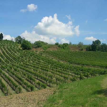 Agriturismo Gaggioli Borgo Delle Vigne ゾーラ・プレドーザ エクステリア 写真