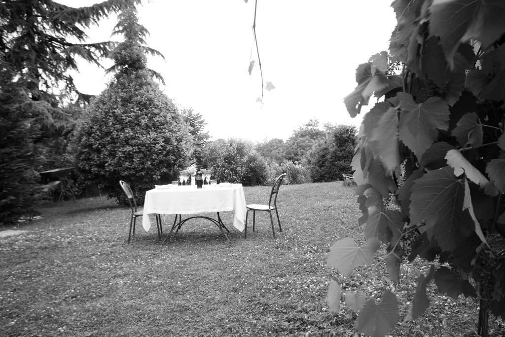 Agriturismo Gaggioli Borgo Delle Vigne ゾーラ・プレドーザ エクステリア 写真