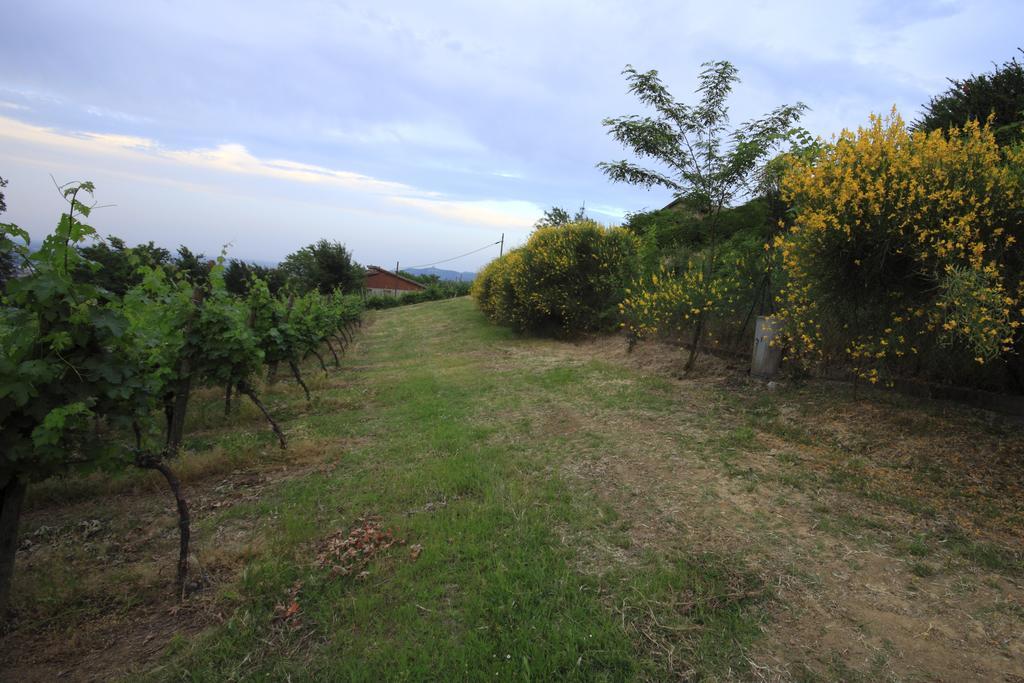 Agriturismo Gaggioli Borgo Delle Vigne ゾーラ・プレドーザ エクステリア 写真