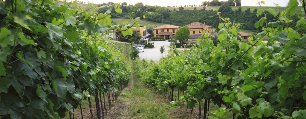Agriturismo Gaggioli Borgo Delle Vigne ゾーラ・プレドーザ エクステリア 写真