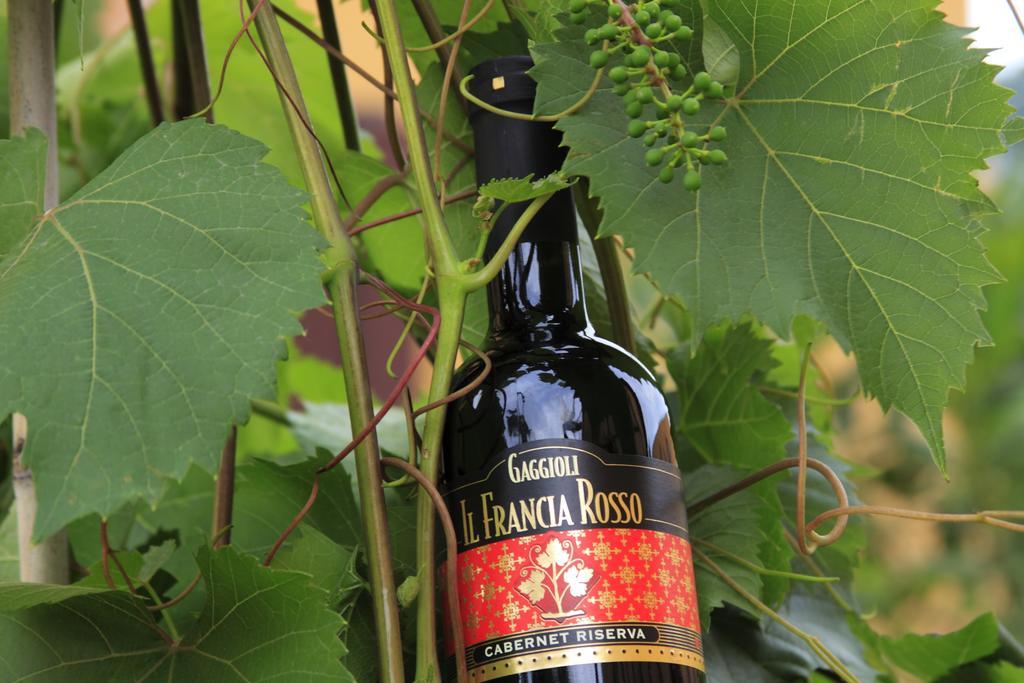 Agriturismo Gaggioli Borgo Delle Vigne ゾーラ・プレドーザ エクステリア 写真