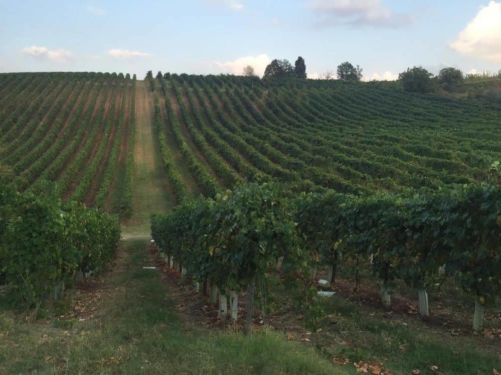 Agriturismo Gaggioli Borgo Delle Vigne ゾーラ・プレドーザ エクステリア 写真